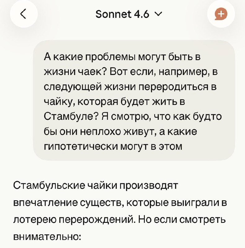 People in 1951: In the future, artificial intelligence will emerge that will know the answers to all questions.