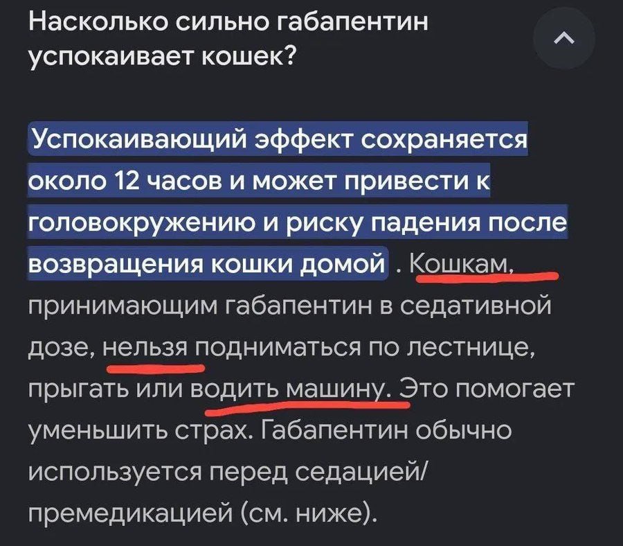 Cat Safety: Avoid Letting Your Feline Friend Drive After Gabapentin Use

Taking gabapentin can have a significant effect on your cat's motor skills and overall alertness. It is crucial to ensure that your cat does not operate a vehicle or machinery after taking this medication to prevent any accidents or harm.

Always prioritize the safety of your pet by monitoring their behavior and activities, especially after administering any medication that may affect their coordination and cognitive functions. It's essential to provide a safe environment for your cat to prevent any potential risks or dangers while they are under the influence of gabapentin.