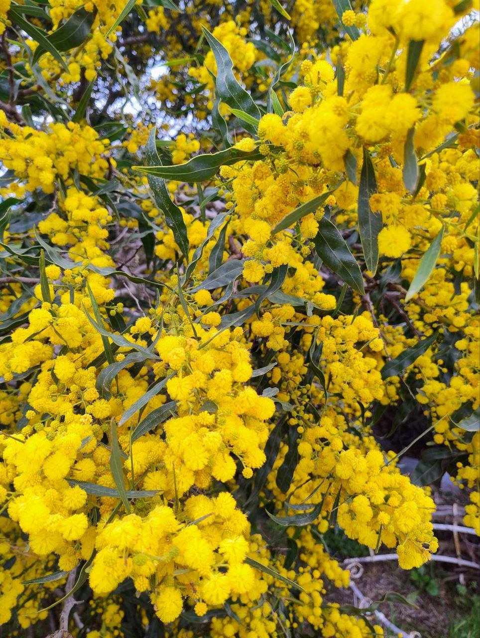 Empowerment and Support for Women