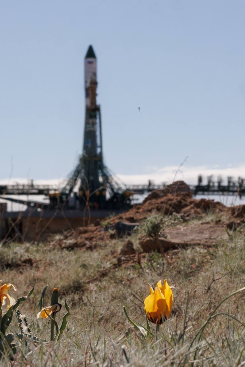 Rocket Rollout and Verticalization of "Progress MS-34" at Baikonur

The carrier rocket "Soyuz-2.1a" carrying the cargo spacecraft "Progress MS-34" has been positioned on the launch pad at Baikonur.

This mission will transport more than 2500 kg of cargo to orbit, comprising fuel for the ISS and a spacesuit designated for spacewalks.