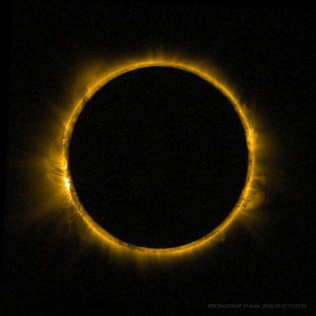 Annular Solar Eclipse Observed on Earth