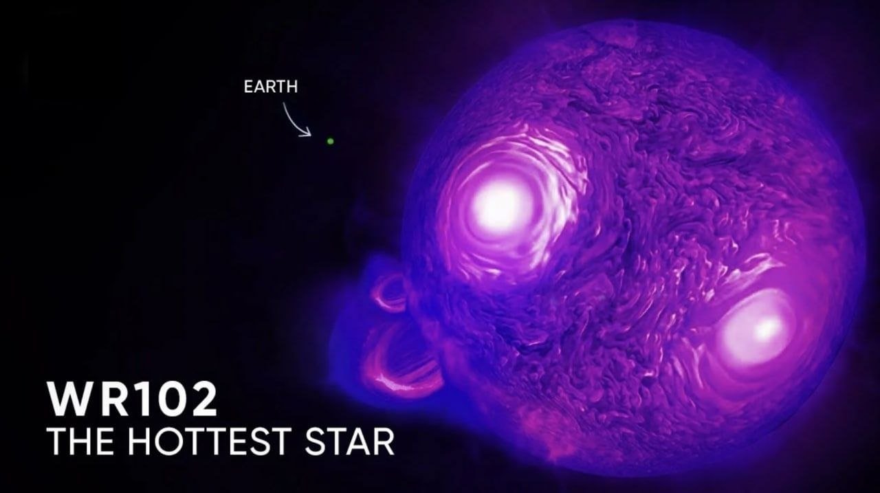 The Hottest Star

WR 102, an oxygen Wolf-Rayet star, holds the record for being the hottest star known to humanity, boasting a scorching surface temperature of 210,000°C.

Situated in the constellation of Sagittarius at a distance of 9,800 light-years from Earth, WR 102 is characterized by its exceptional luminosity and its proximity to an impending supernova event.