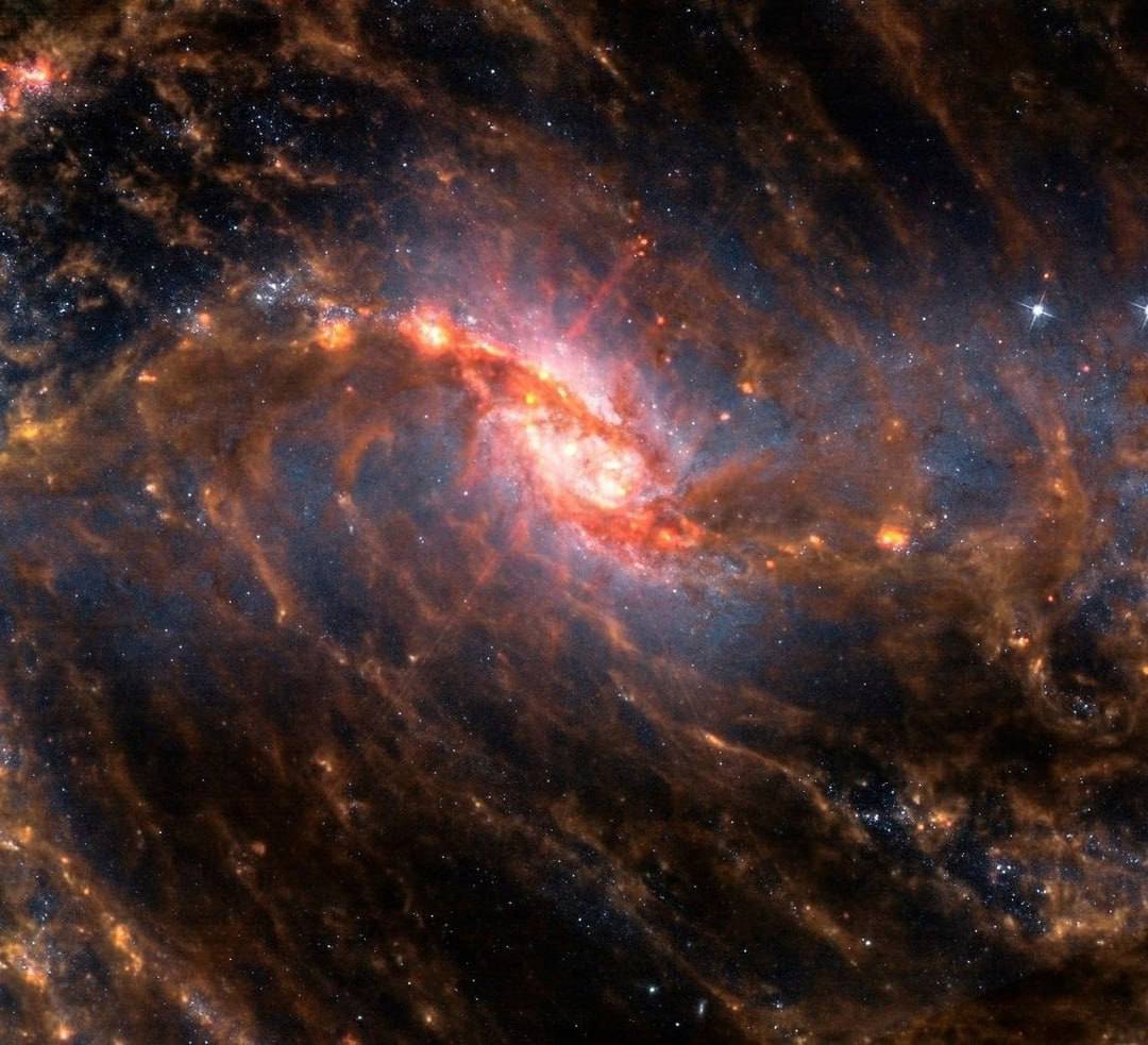 Central region of spiral galaxy NGC 1635

This image showcases the central region of spiral galaxy NGC 1635, combining infrared data from the James Webb Space Telescope (orange and red) with optical light from the Hubble Space Telescope (blue).

The unique combination of data from both telescopes provides a comprehensive view of the central area of the galaxy, offering valuable insights into the structure and composition of NGC 1635.