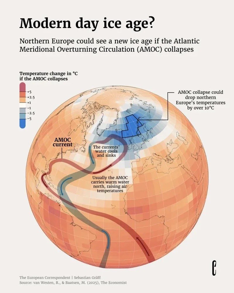 What happens if warm currents in Northern Europe cease